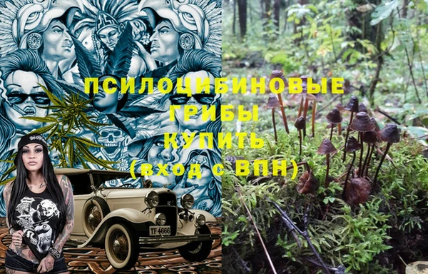 PSILOCYBIN Богородск