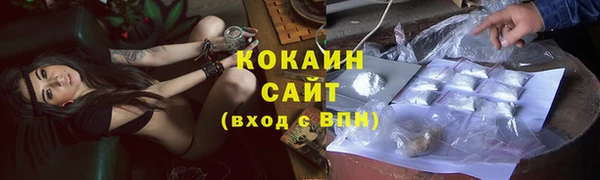 PSILOCYBIN Богородск
