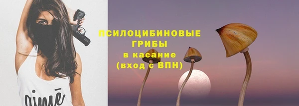 бутират Богданович