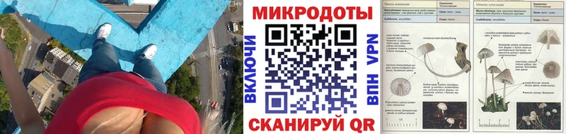 Галлюциногенные грибы GOLDEN TEACHER Купить закладки Апшеронск